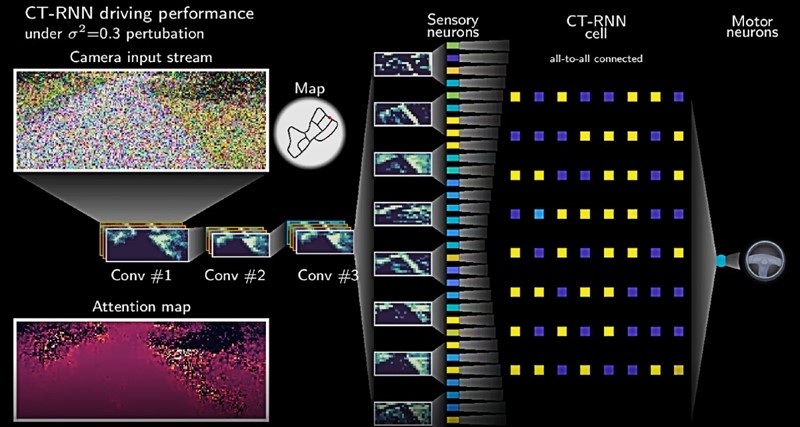 Istraživači MIT-a razvili su neuronsku "tekuću" mrežu koja mijenja parametre svojih jednadžbi, poboljšavajući njezinu sposobnost analize podataka