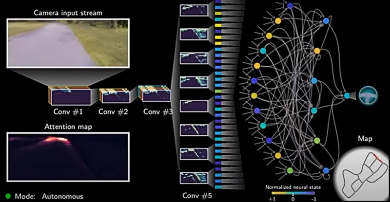Biološki inspirirane neuronske mreže za samovozeće automobile