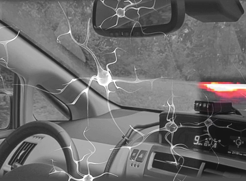 NCP-ovi se prilikom donošenja odluka o vožnji koncentriraju na obzor i rubove ceste, onako kako bi to činili i ljudi