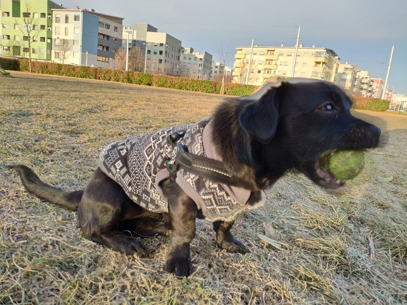 Malo nemirniji objekt snimanja rezultirat će lošim portretnim fotografijama