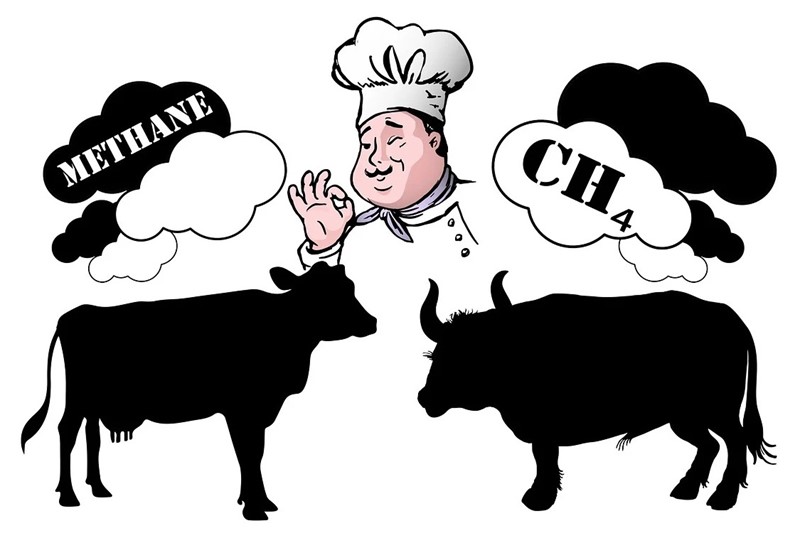 Metan nastaje u probavnom traktu goveda. Pasu li na planetu K2-18b krave?